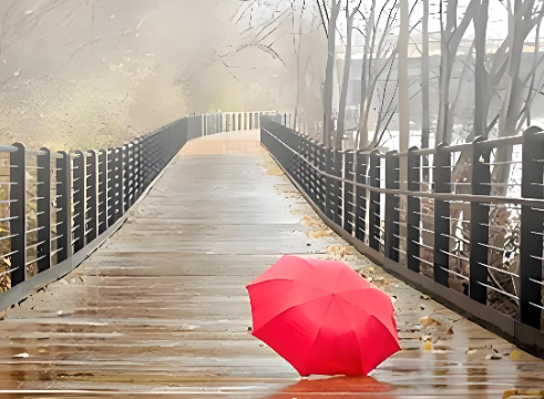 沉溺于情伤，它就是幸福之路上的一只拦路虎